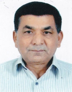 Narsinhbhai C. Patel Image